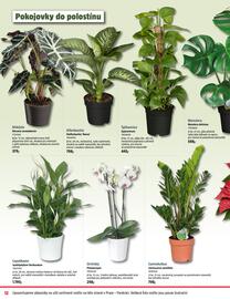 Bauhaus leták Strana 12