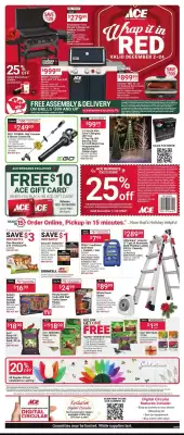 Ace Hardware flyer (valid until 24-12)