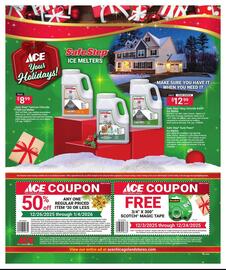 Ace Hardware flyer Page 2