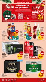 PENNY Prospekt woche 50 Seite 25