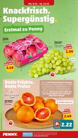 PENNY Prospekt woche 50 Seite 4