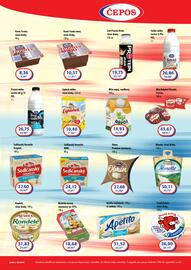 ČEPOS leták Strana 2