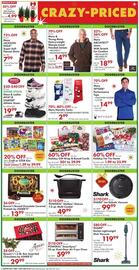 Boscov's weekly ad Page 2