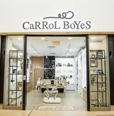 Carrol Boyes catalogue (valid until 11-12)