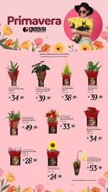 Encarte Giassi Supermercados semana 49 Página 1