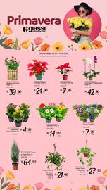 Encarte Giassi Supermercados semana 49 Página 2