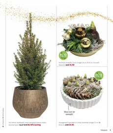 Intratuin folder week 50 Pagina 7