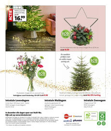 Intratuin folder week 50 Pagina 8