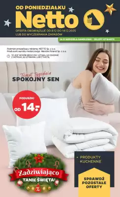 Netto gazetka (ważność do 14-12)