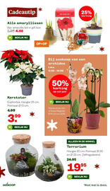 Welkoop folder Pagina 14