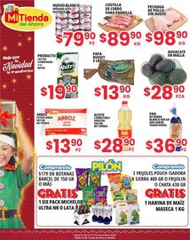 Folleto Mi Tienda del Ahorro Página 4