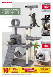 Woolworth Prospekt Seite 13