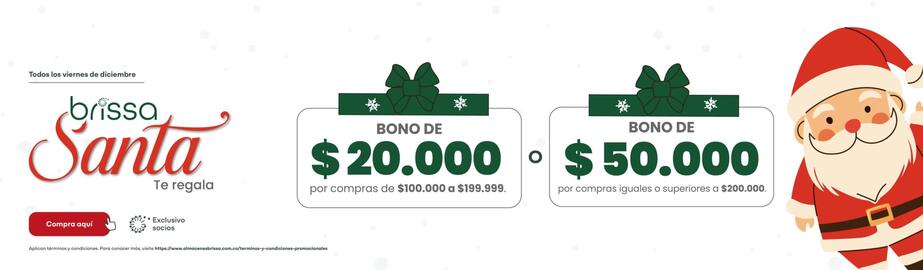 Catálogo Brissa Página 1