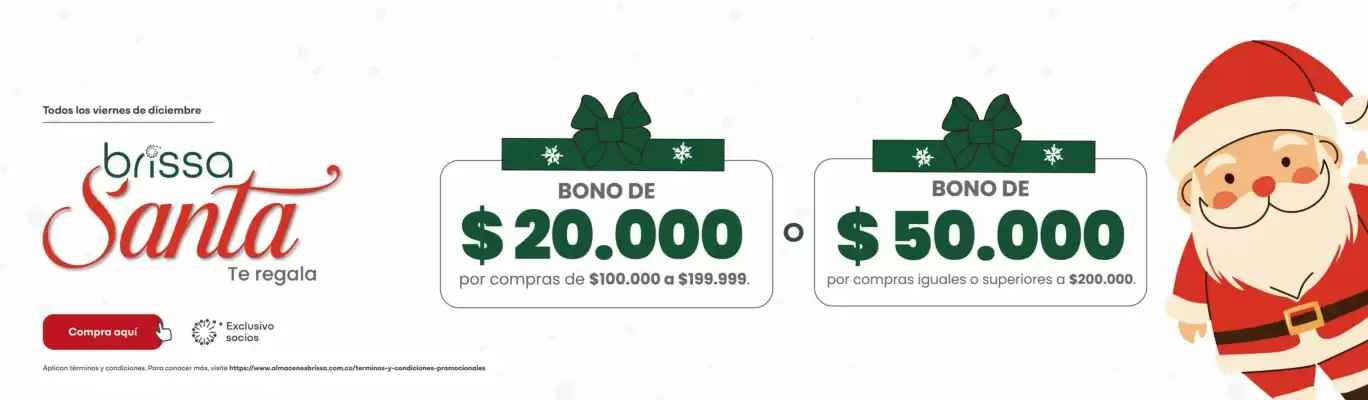 Catálogo Brissa (válido hasta 31-12)