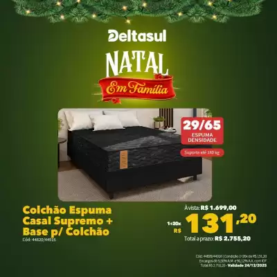 Folheto Deltasul (válido até 24-12)