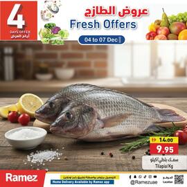 Ramez catalogue Page 4