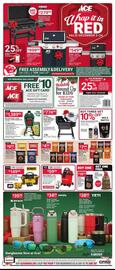 Ace Hardware flyer Page 1