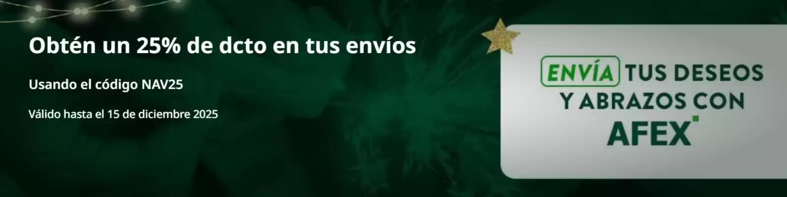 Catálogo Afex (válido hasta 15-12)