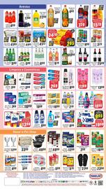 Folheto Panelão Página 4