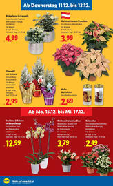 Lidl Flugblatt woche 50 Seite 30