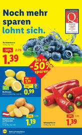 Lidl Flugblatt woche 50 Seite 40