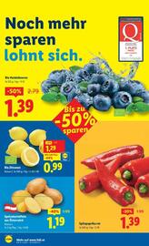 Lidl Flugblatt woche 50 Seite 41