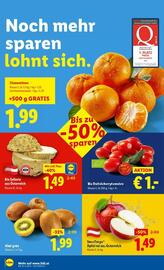 Lidl Flugblatt woche 50 Seite 7
