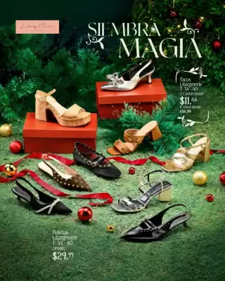 Catálogo Rio Store (válido hasta 24-12)