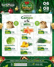 Catálogo Supermercados Surtiplaza Página 2