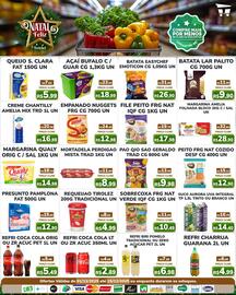 Catálogo Macro Atacado Treichel Página 3