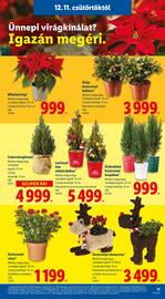 Lidl akciós újság hét 50 Oldal 11