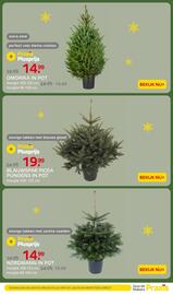 Praxis folder week 50 Pagina 3