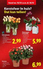 Lidl folder week 50 Pagina 34