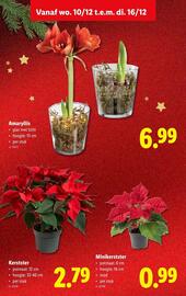 Lidl folder week 50 Pagina 35