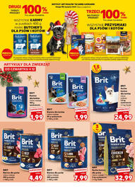 Kaufland gazetka Strona 20