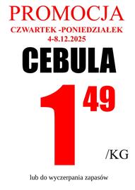 Wizan gazetka Strona 1