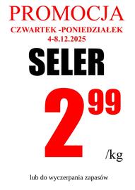 Wizan gazetka Strona 3