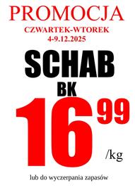 Wizan gazetka Strona 4