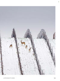 Dm drogerie leták Strana 13