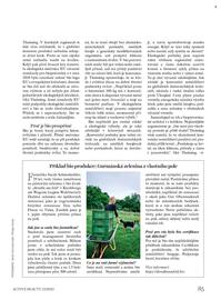 Dm drogerie leták Strana 85