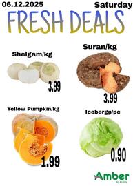 Amber catalogue Page 1