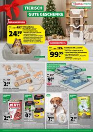 Hagebau Prospekt woche 49 Seite 3