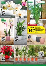 Hagebau Prospekt woche 49 Seite 7