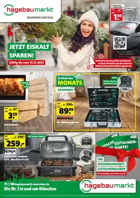 Hagebau Prospekt (gültig bis 13-12)