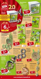 Sonderpreis Baumarkt Prospekt Seite 8