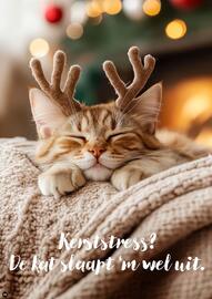 Euroshop folder Pagina 26