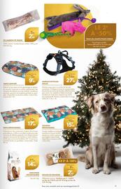 Catalogue Point Vert page 11