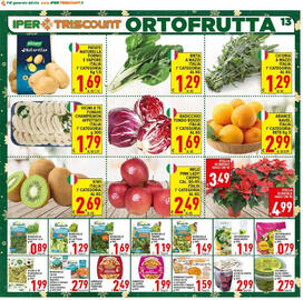 Volantino Iper Triscount Pagina 13