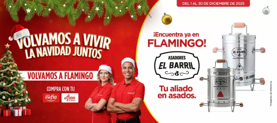 Catálogo Flamingo (válido hasta 30-12)