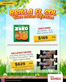 Catálogo Super Ganga Página 4